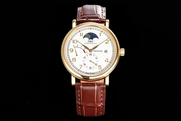 アイ・ダブリュー・シー背面デザイン